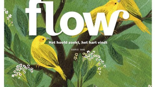 flow_magazine_dsl