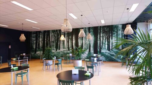 Wandbekleding project bij VIAA, gerealiseerd door Diesignloods