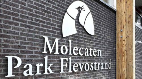 Gevelletters Molecaten-Vakantiepark-Flevostrand_1