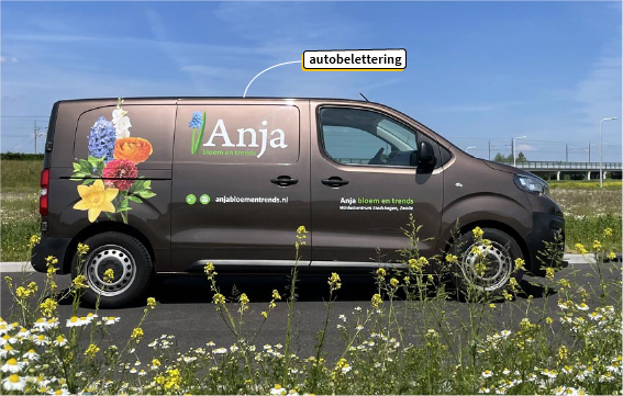 autobelettering, 
